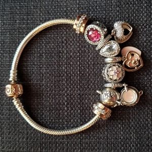 Pandora Bracelet with Perfect Charm Combination